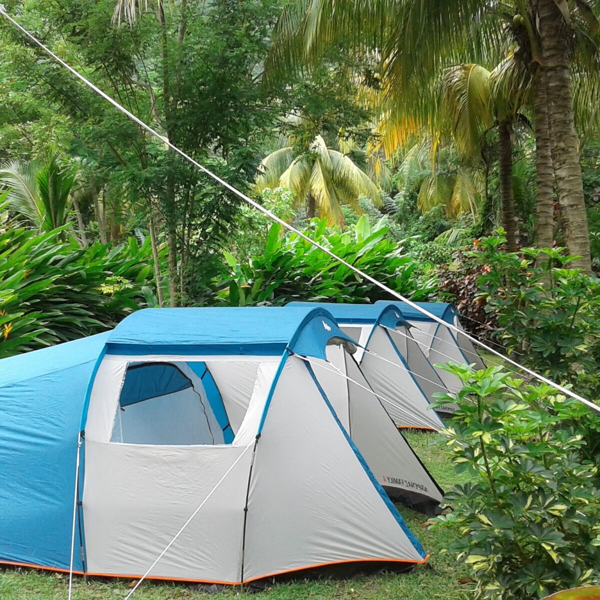 large tent big banana campground