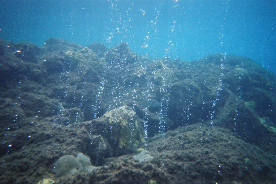 Snorkelling at Champagne Beach & Soufriere Sulphur Springs