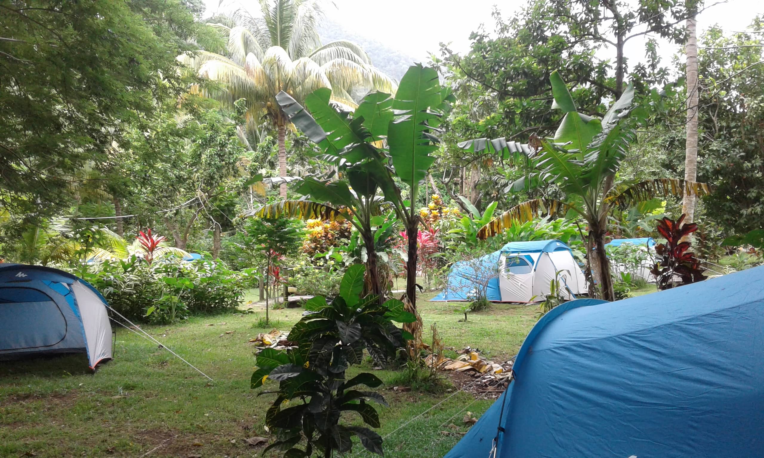 Big Banana Campground
